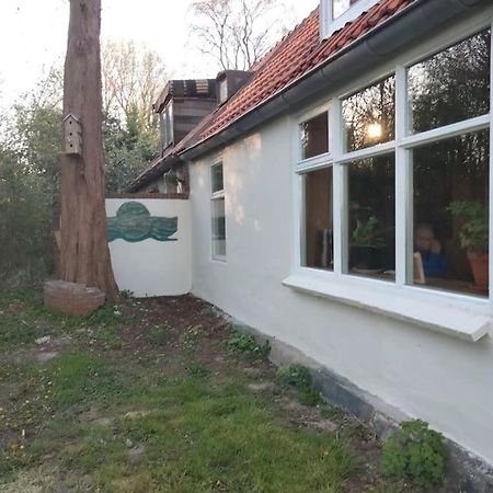 Vogelvrij Villa Vierhuizen Dış mekan fotoğraf