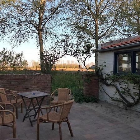 Vogelvrij Villa Vierhuizen Dış mekan fotoğraf