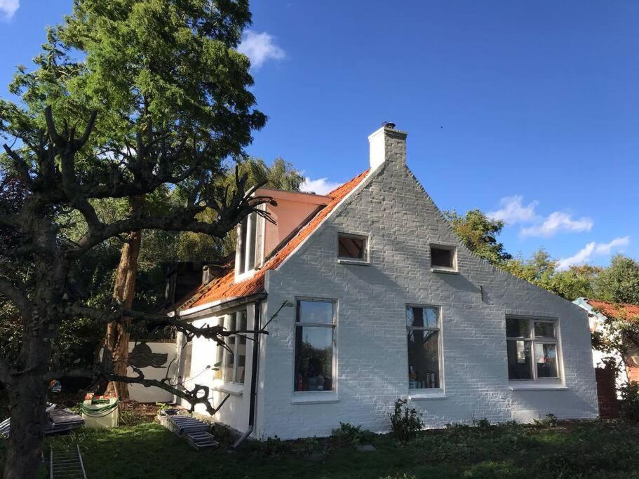 Vogelvrij Villa Vierhuizen Dış mekan fotoğraf