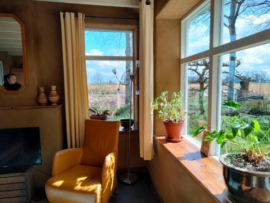 Vogelvrij Villa Vierhuizen Dış mekan fotoğraf