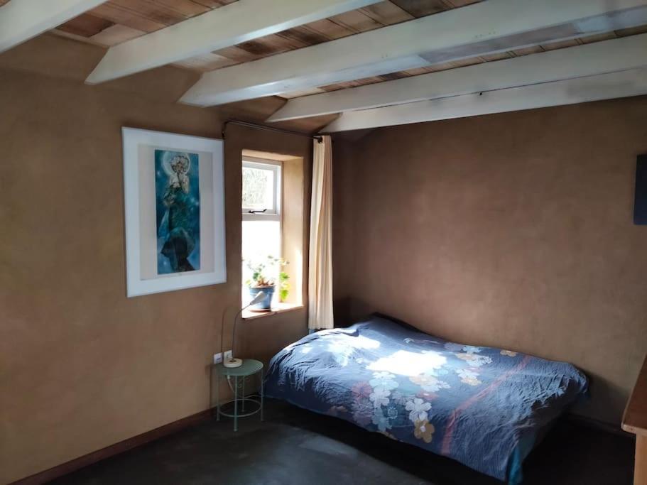 Vogelvrij Villa Vierhuizen Dış mekan fotoğraf