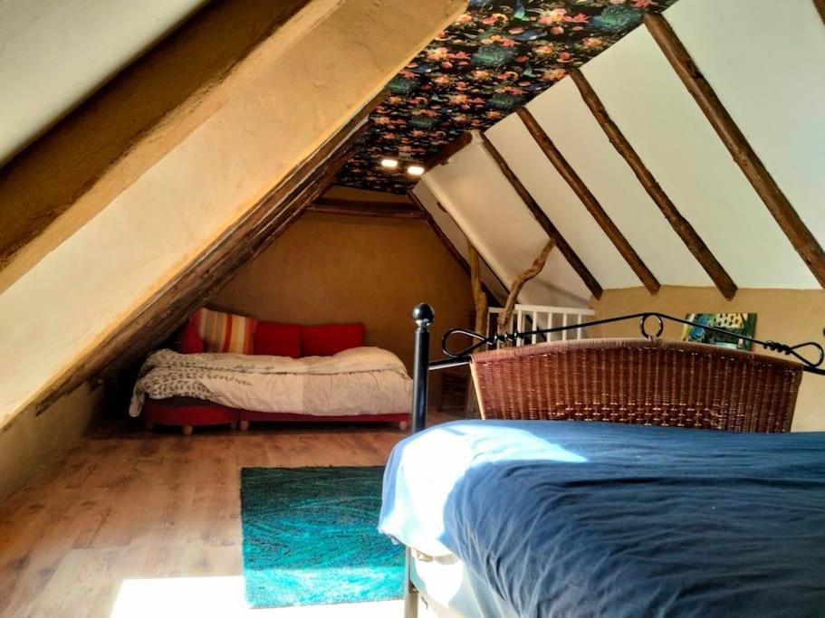 Vogelvrij Villa Vierhuizen Dış mekan fotoğraf